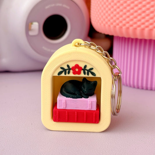 מחזיק מפתחות | חתול ישן על ספרים